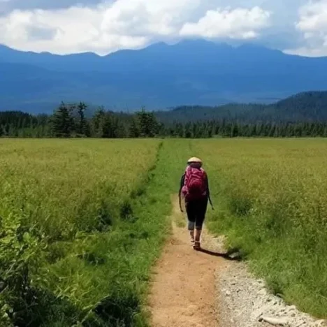 Unlocking the Skies The Mind-Boggling Truth About Flight Passenger Capacity