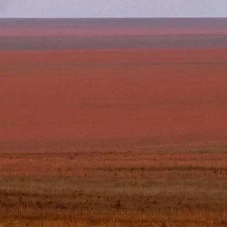 Your Comprehensive Guide to Choosing the Best Travel Card