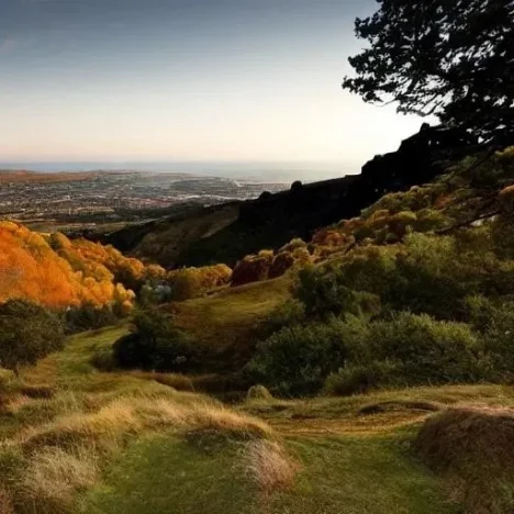 Newborn Passports An Essential Guide for Parents