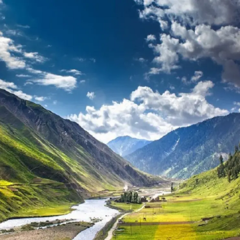 The Protection Visa Trap Why a Trip Home Could Cost You Everything