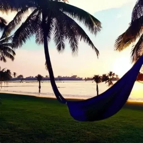 Where to Watch Jersey Shore Family Vacation