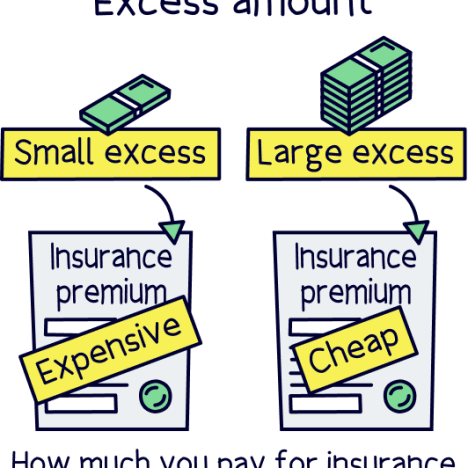 How Fast Does an Airplane Travel?