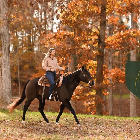 NHS Travel Vaccinations: What’s Free and What’s Not?